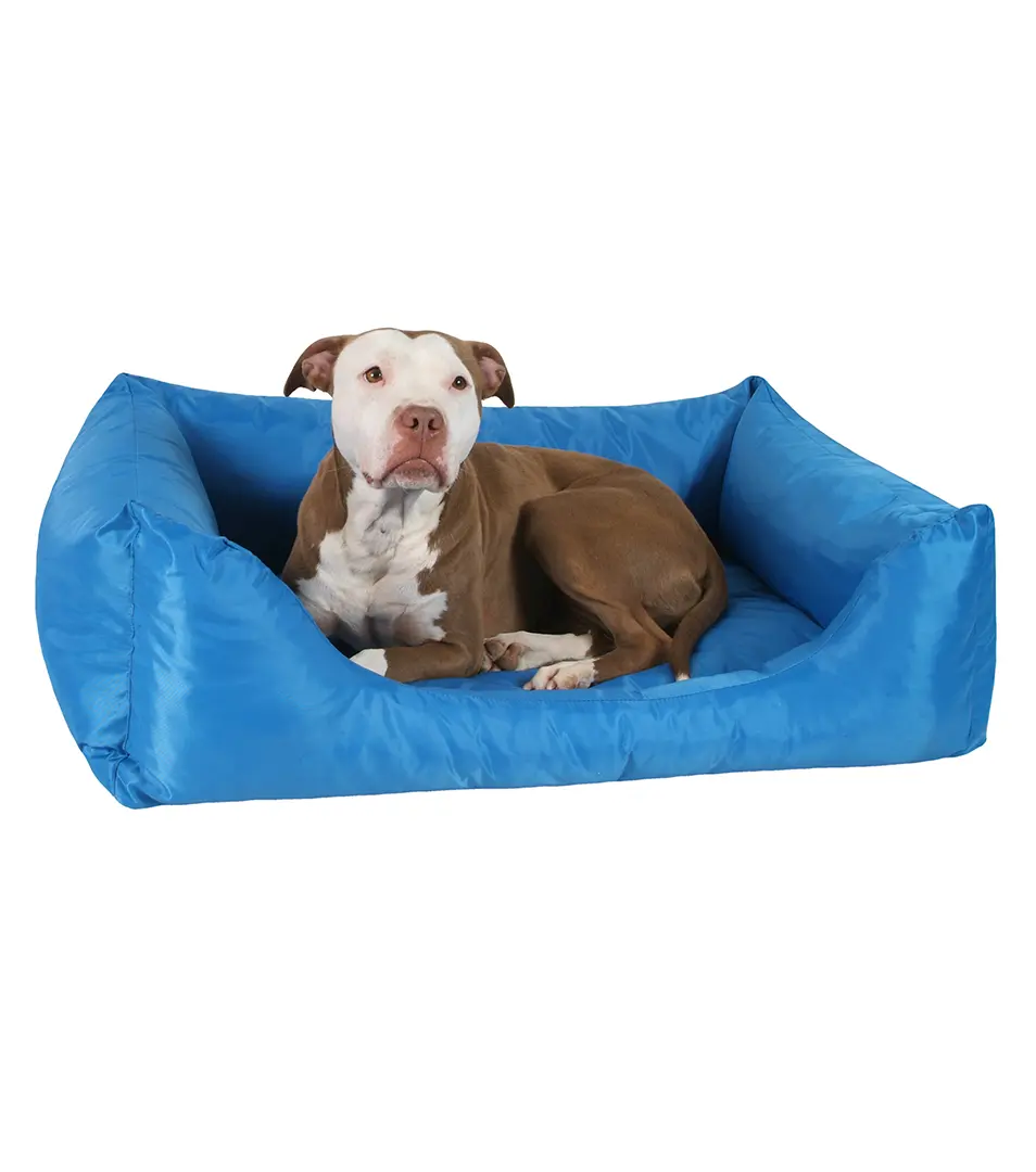 Pelech Super Economy 45 x 55 cm D32 Dopredaj