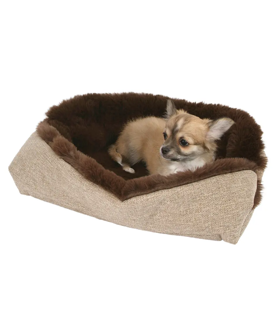 Pelech Clara 2v1 57x45 cm hnedý melír