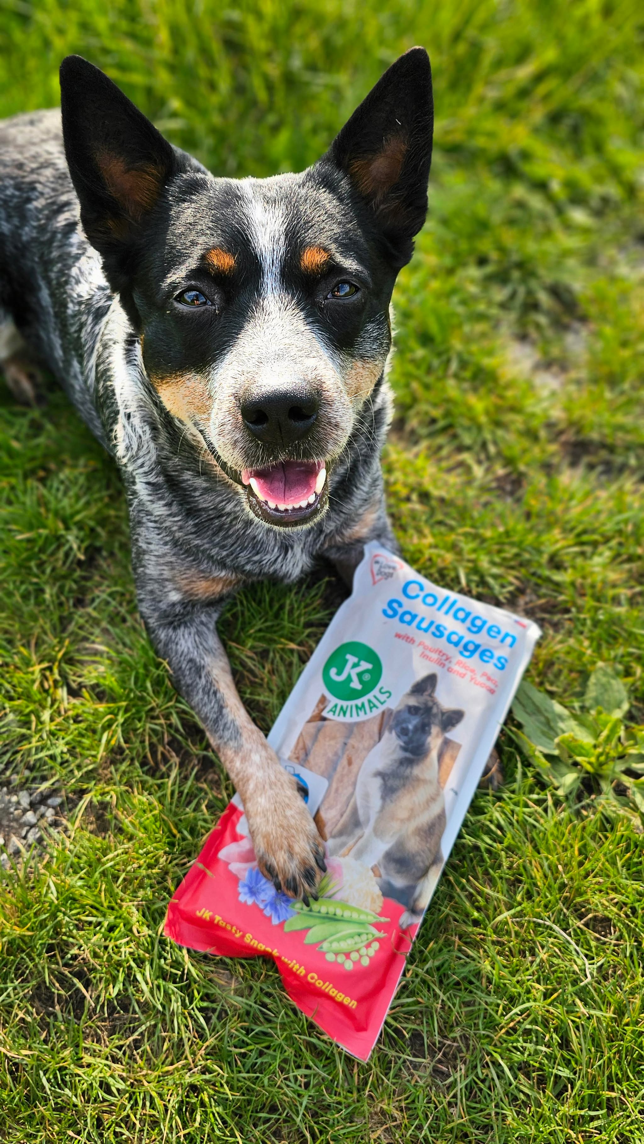 Klobásy s hovädzím, kolagénom, ryžou, hrachom, šípkom a brusnicami, 6 ks