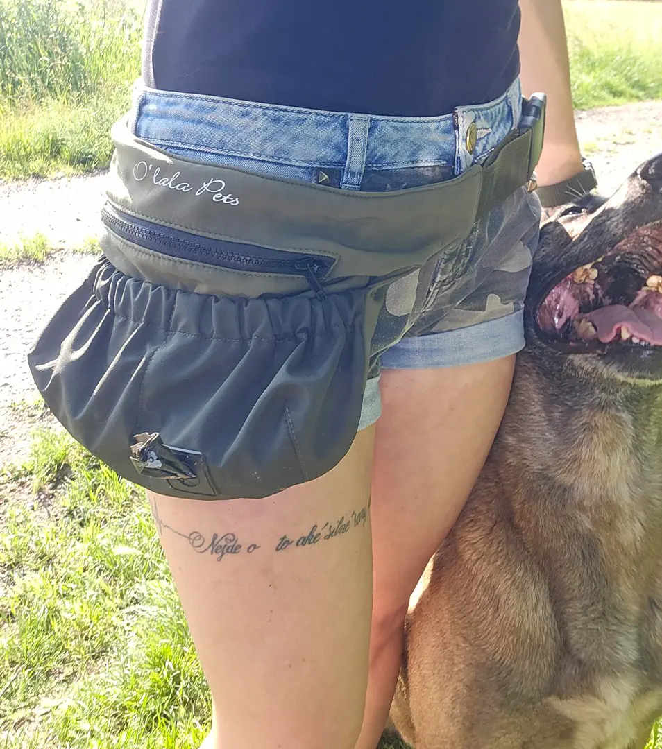 Kapsička na pamlsky, khaki