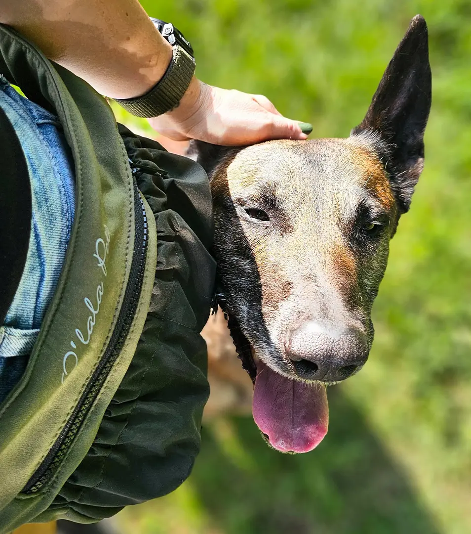 Kapsička na pamlsky, ružová