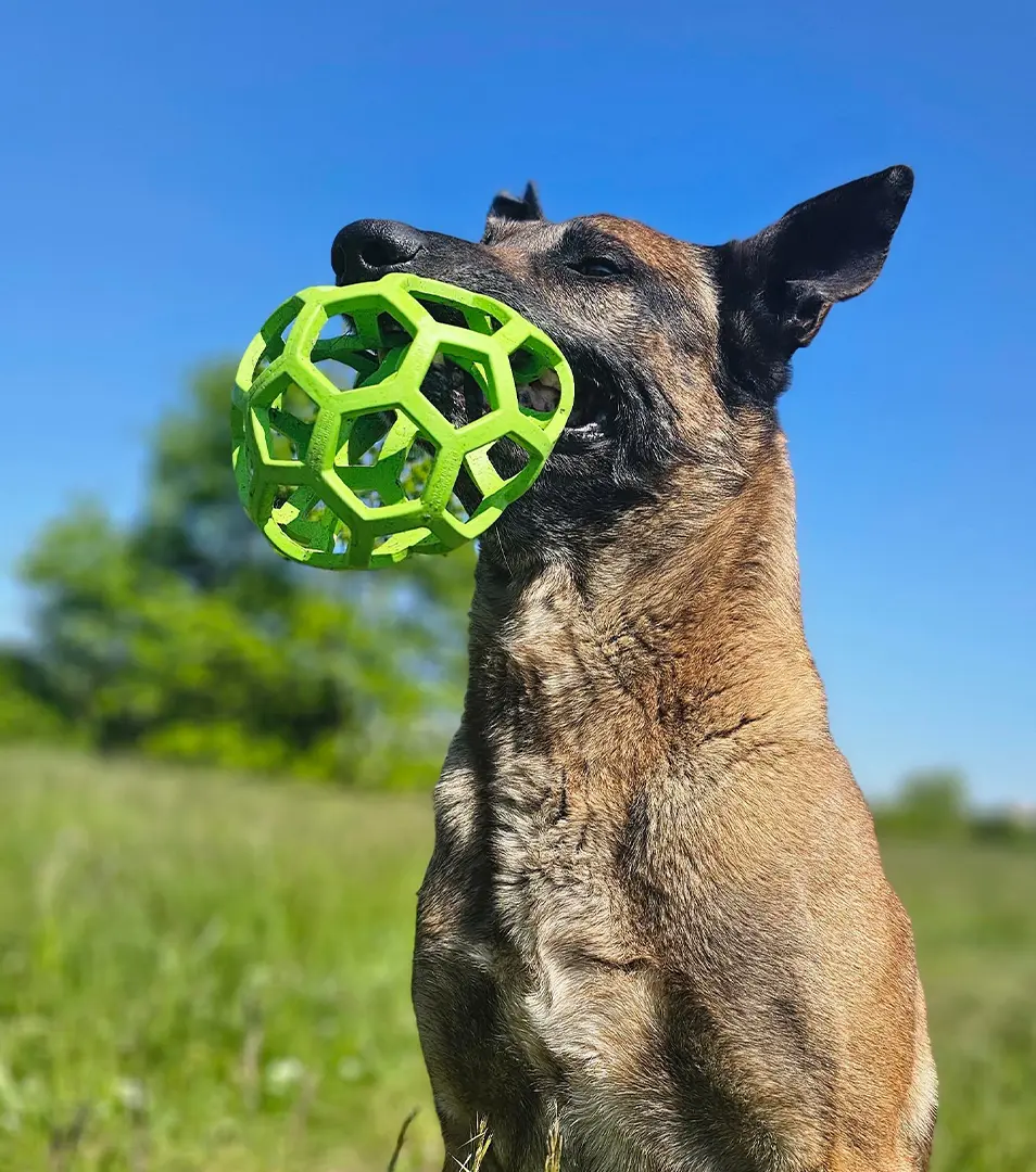 Lopta JW HOL-EE Roller JUMBO priemer 19 cm, mix farieb