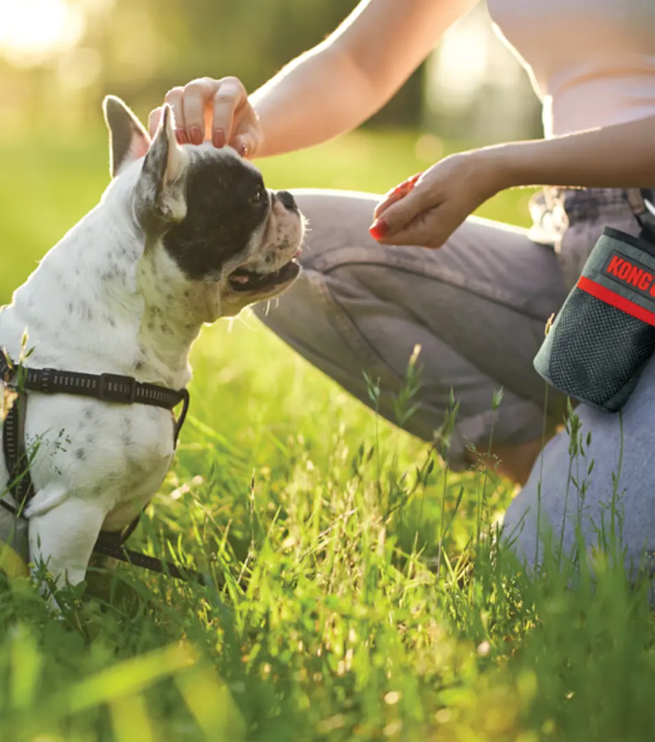 Vrecko na pamlsky KONG Treat Bag