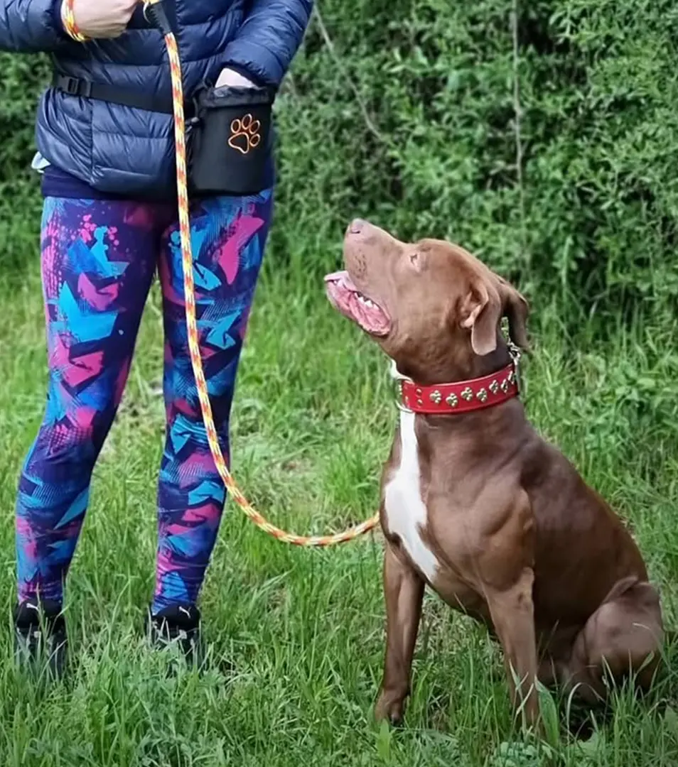 BAFPET Vrecko na pamlsky s opaskom, guľaté