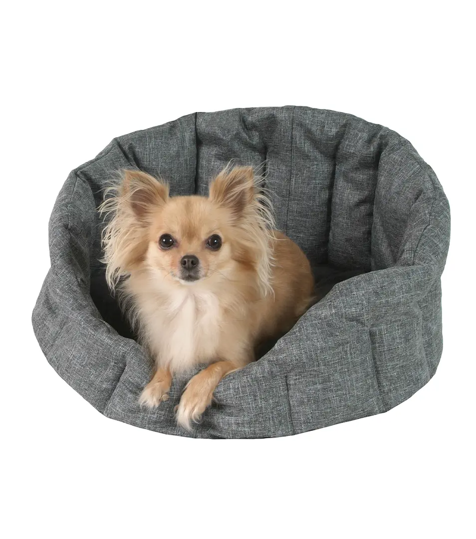 Pelech Casper Elegance 50 cm + výšivka D96