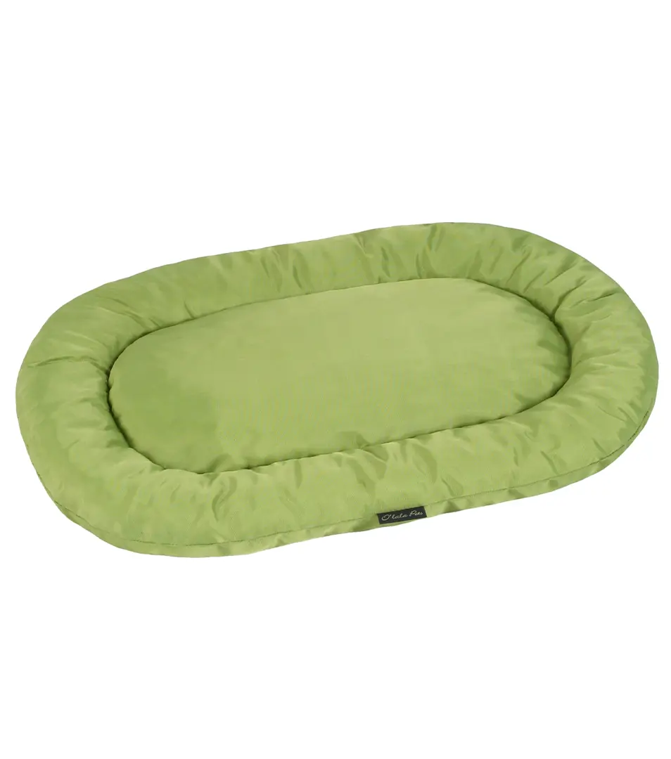 Pelech/Ovál Economy 60 x 40 cm zelená