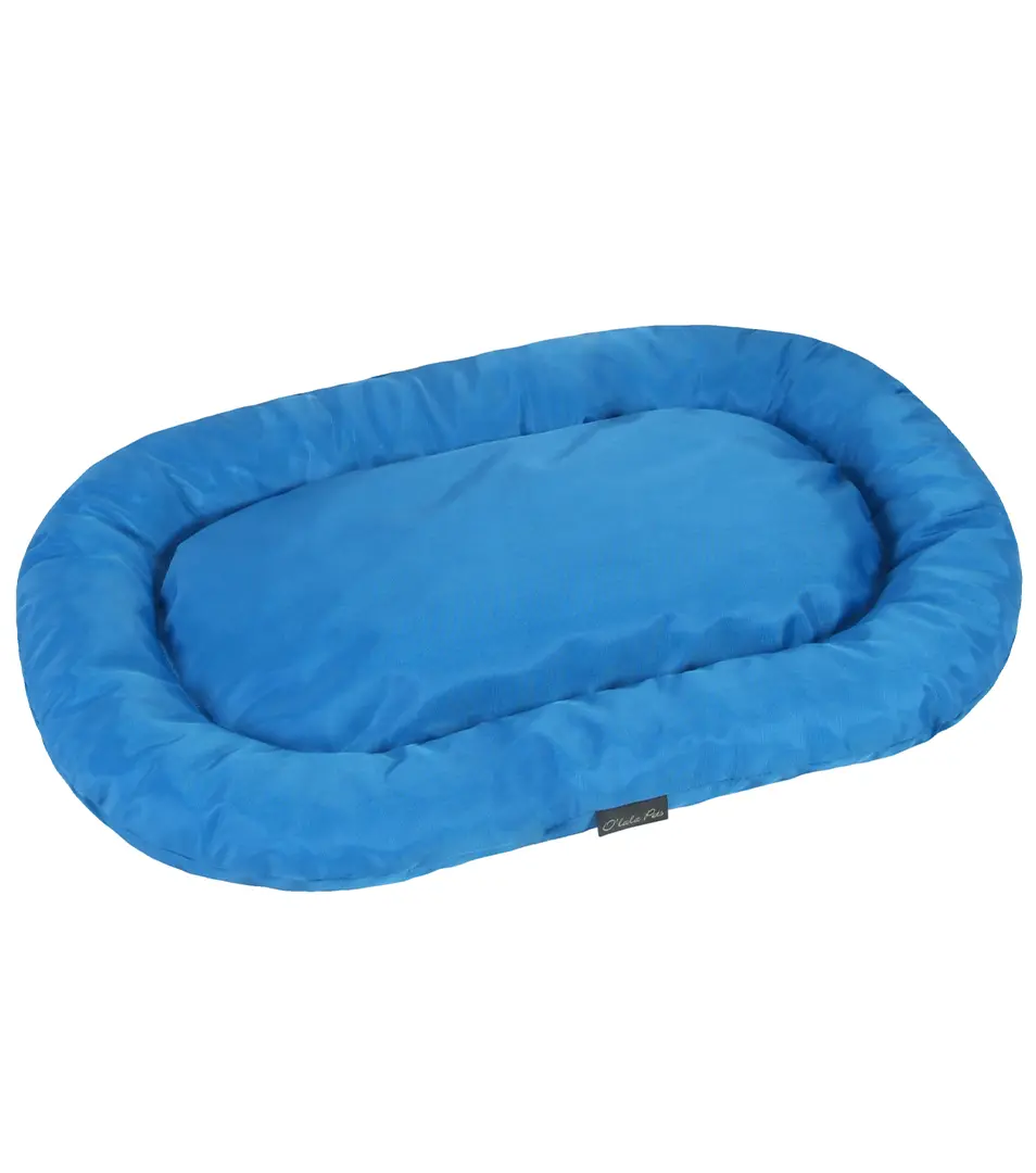 Pelech/Ovál Economy 60 x 40 cm modrá