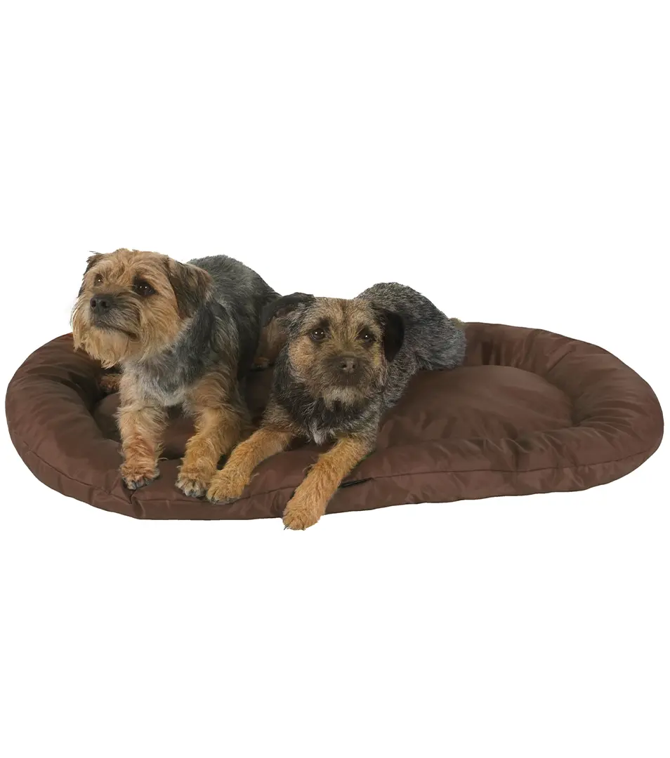 Pelech/Ovál Economy 60 x 40 cm šedá