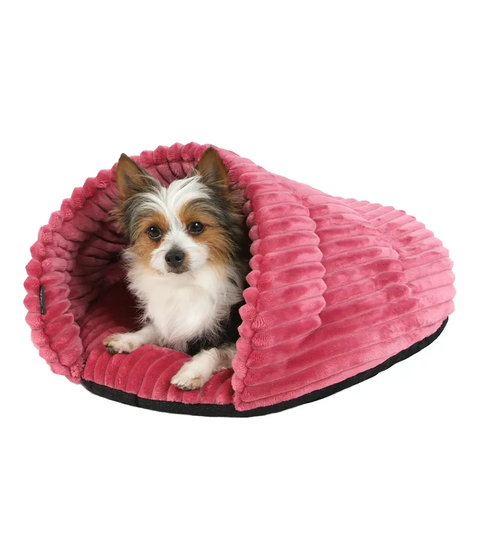 Pelech Elisabeth Stripe zelená