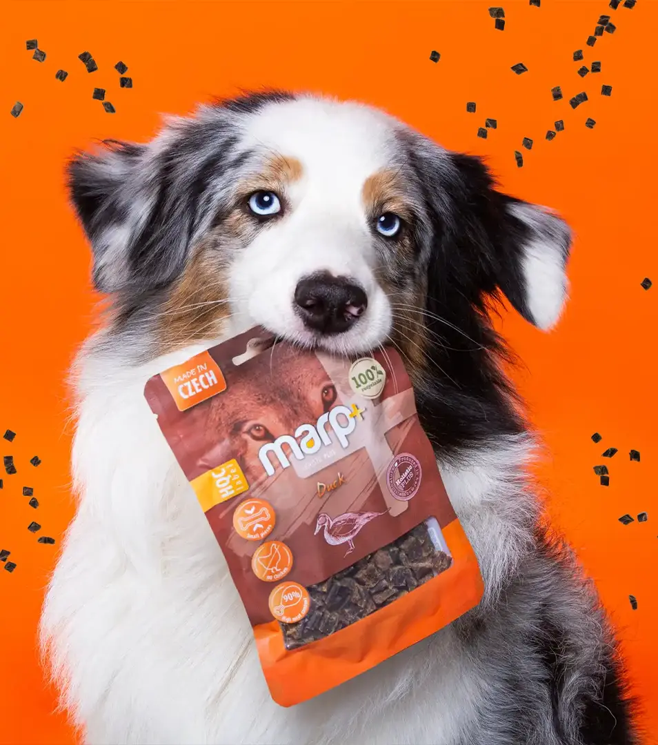 Marp Treats Holistic+ maškrty pre psov kačacie 80g
