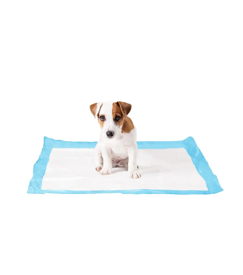 Podložka DUVO+ XXL, absorpčná 60x90cm , 7 ks/bal.