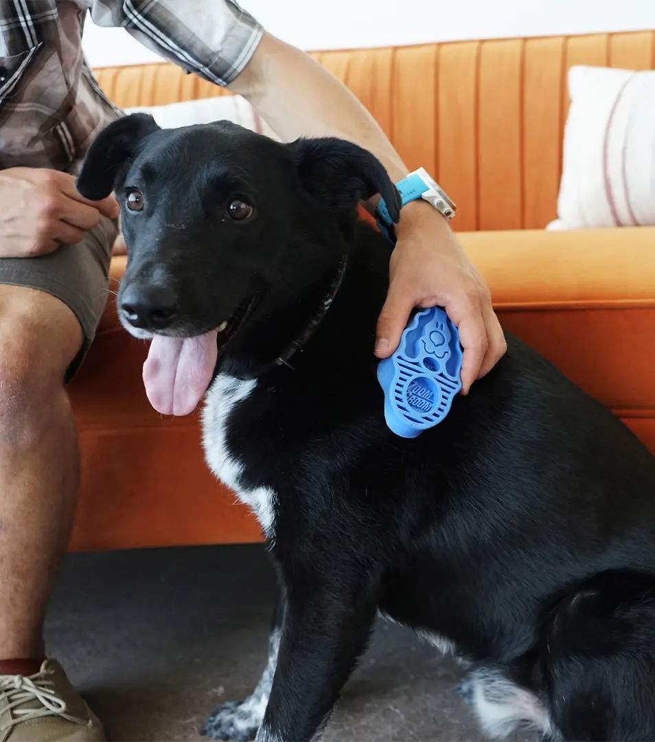 Hrebeň Kong gumový ZoomGroom modrý L - 11,5 × 7 × 2,5 cm