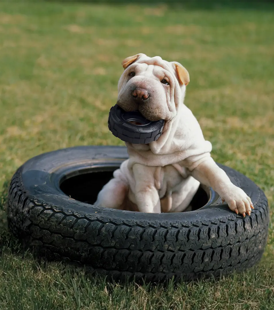 Hračka Kong Dog Extreme Pneumatika čierna, guma prírodná, S do 16 kg