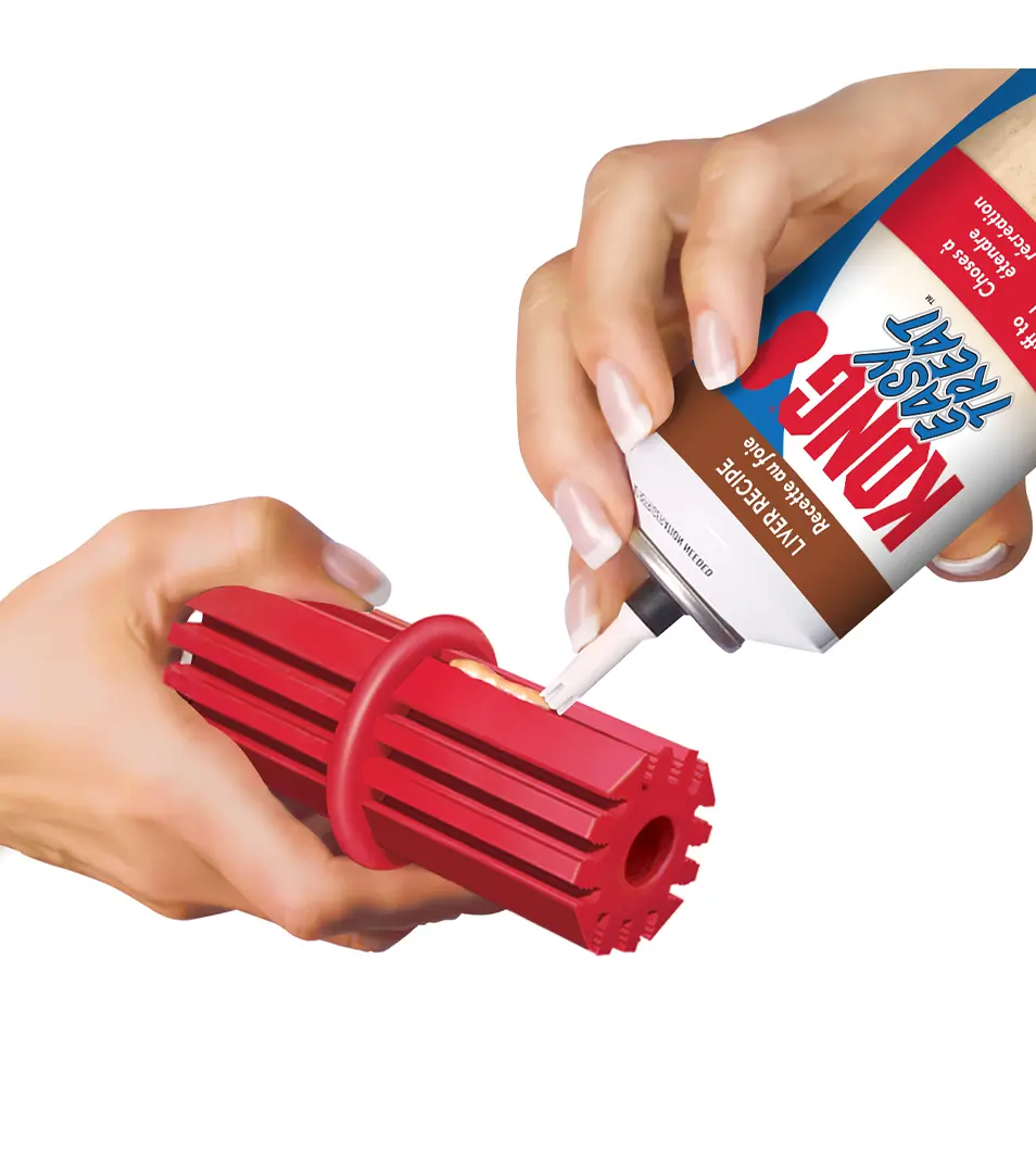 Hračka Kong Dog Dental Tyč, plniaca, červená, guma prírodná, L