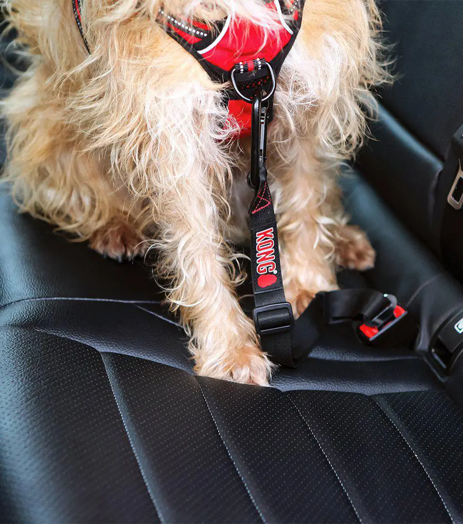 Bezpečnostný pás do auta pre psov KONG Seat Belt Tether