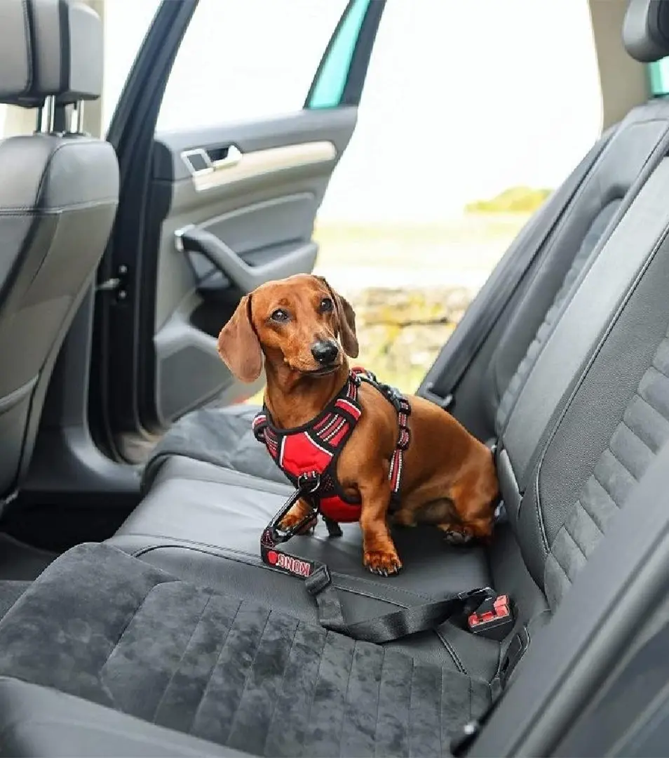 Bezpečnostný pás do auta pre psov KONG Seat Belt Tether