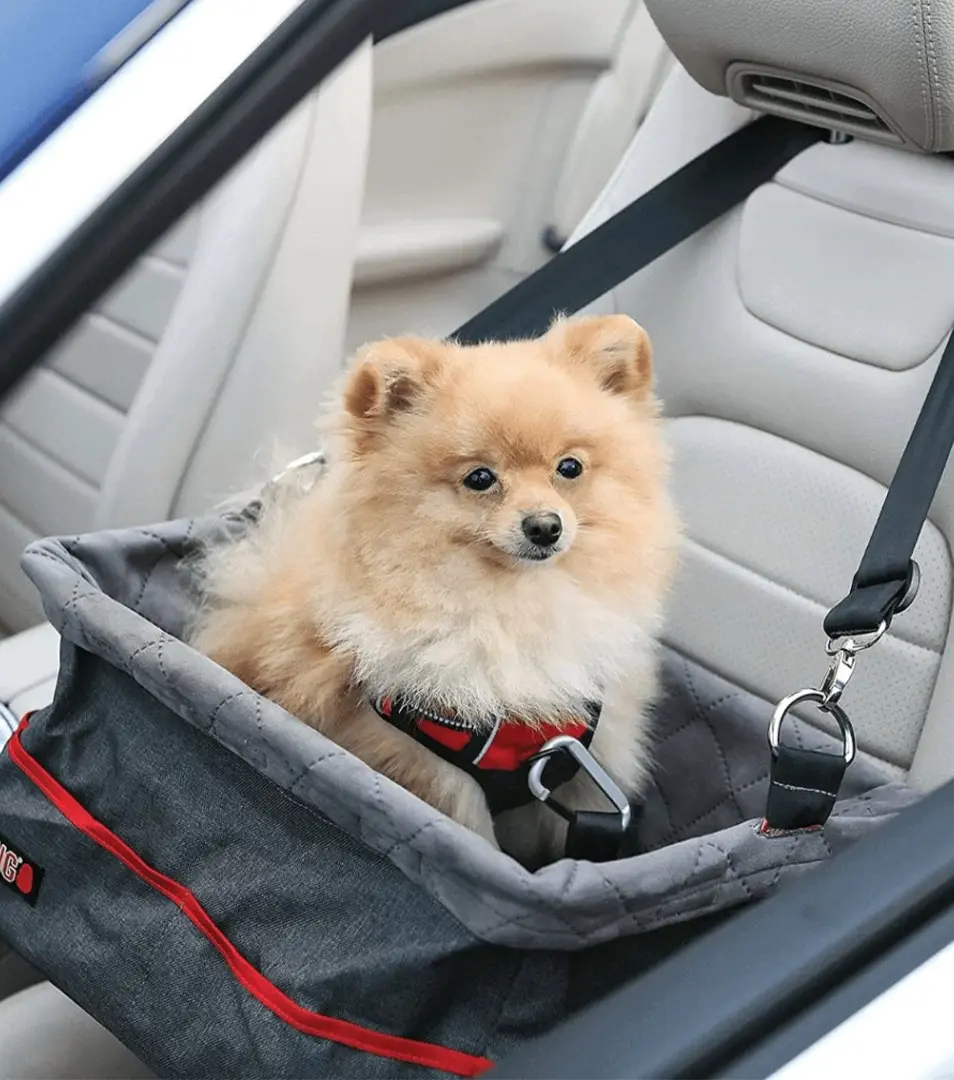 Autosedačka pre psa do 12 kg KONG Secure Booster Seat