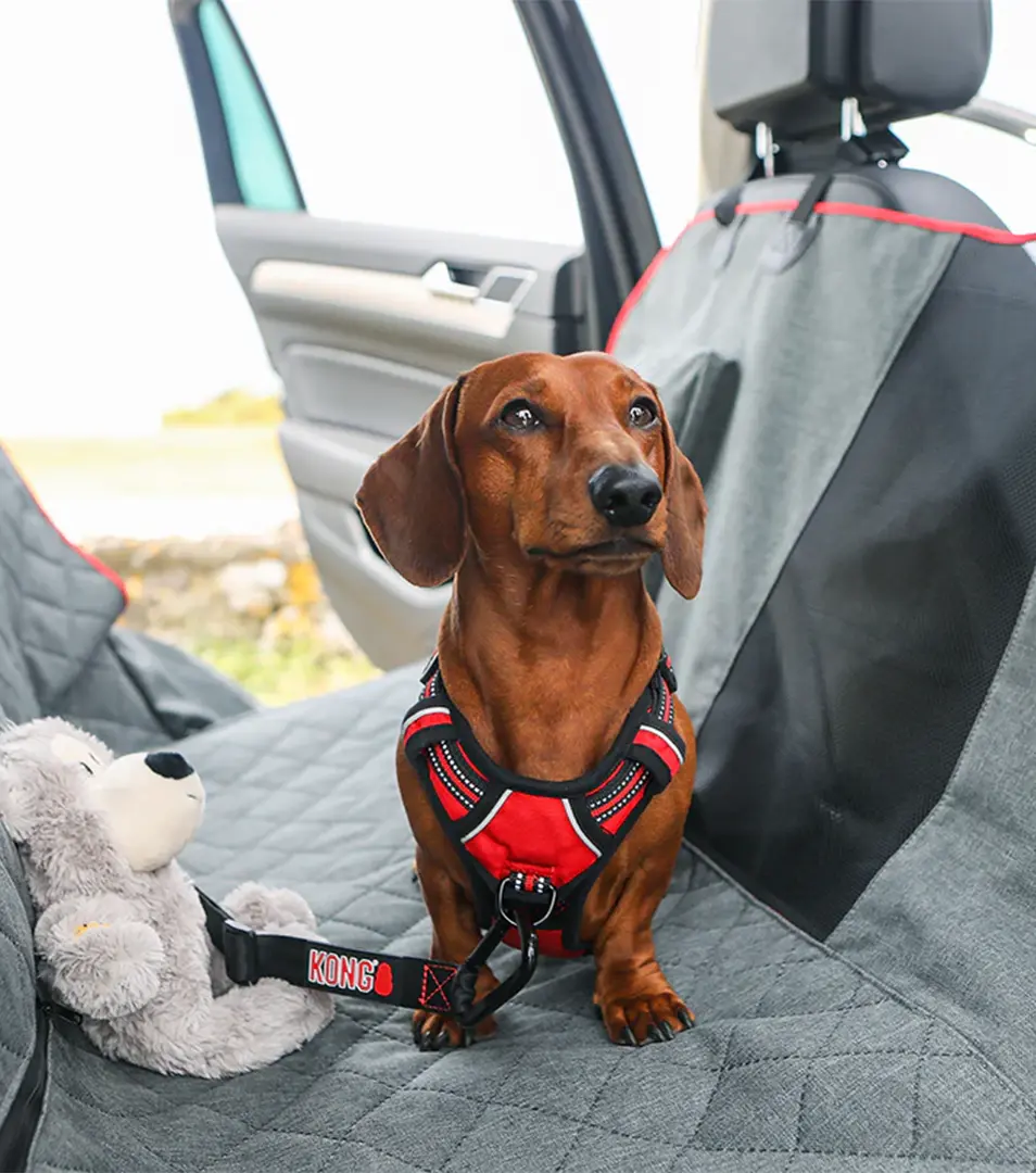 Autopoťah / autosedačka pre psa KONG 2-In-1 Bench Seat Cover & Hammock