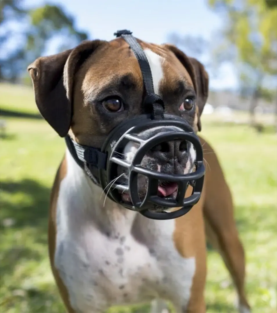 Náhubok Baskerville plast čierny pre psa veľ.2