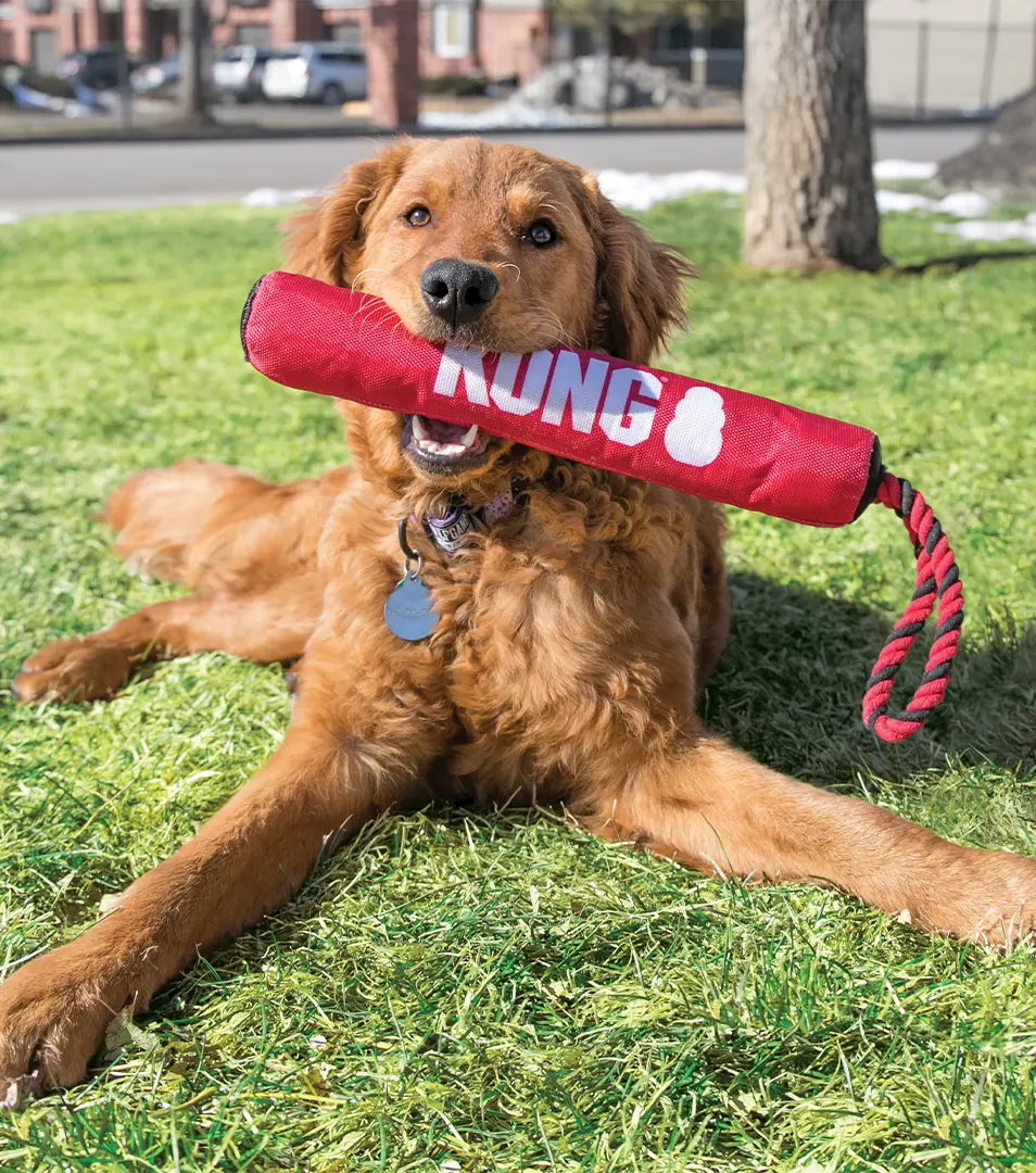 Hračka Kong Dog Signature Preťahovadlo s lanom, pískacie, polyester, červené M