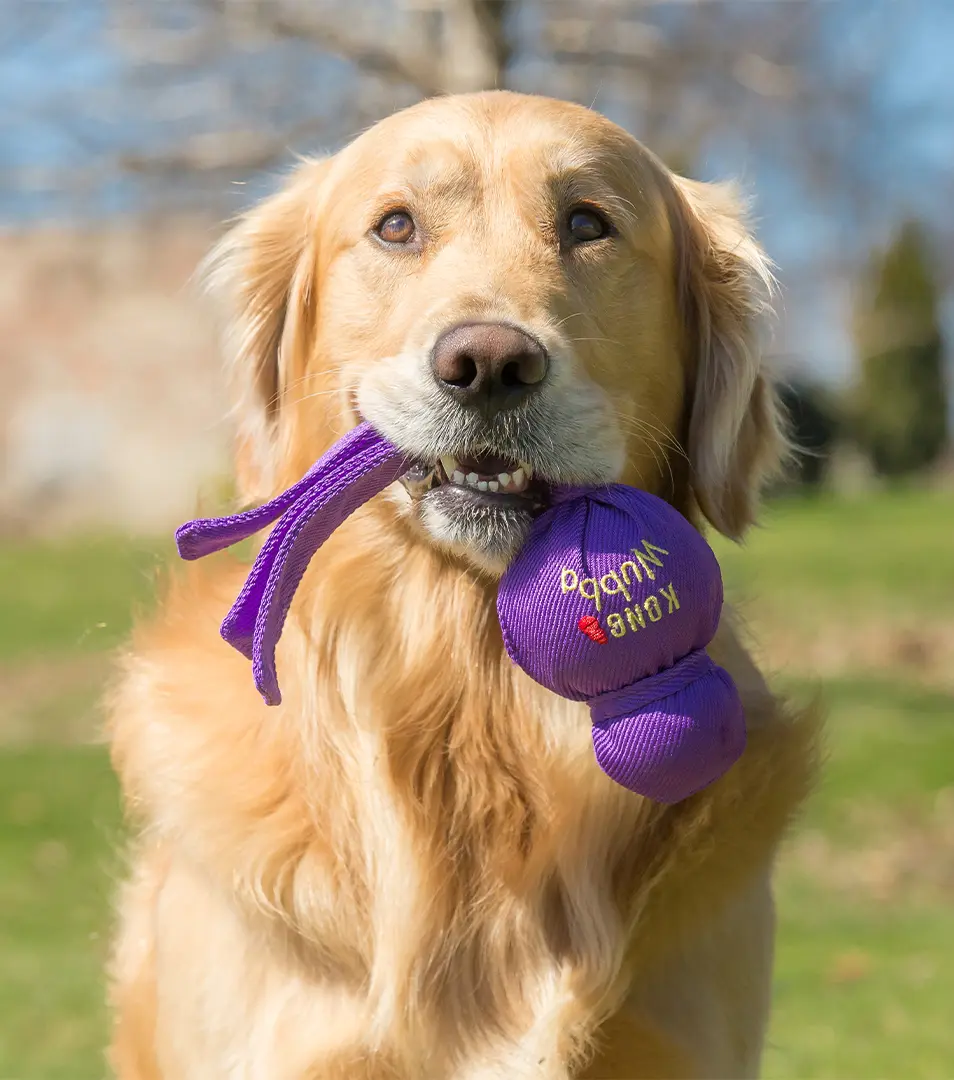 Hračka Kong Dog Wubba pískacia, vinyl, XL