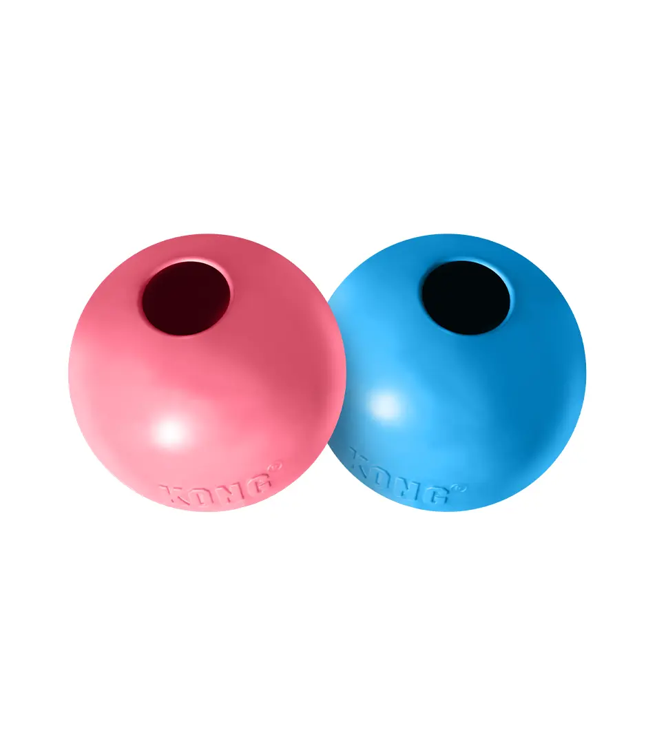 Hračka Kong Dog Puppy Lopta modrá/ružová, guma prírodná, S