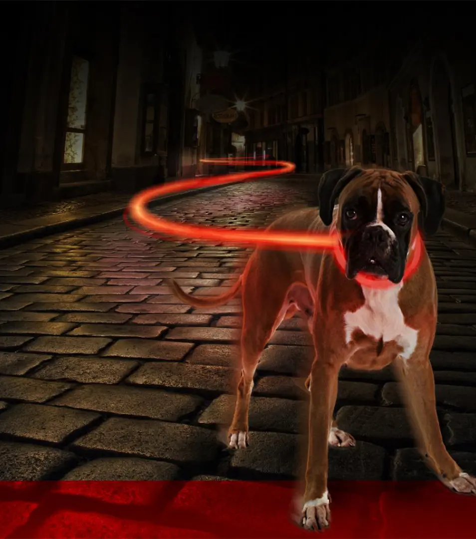 Obojok DUVO+ LED Svietiaci dog červený silikónový 70 cm