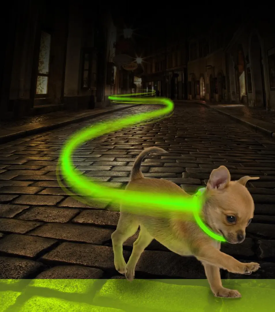 Obojok DUVO+ LED Svietiaci dog zelený nylonový 25-35 cm