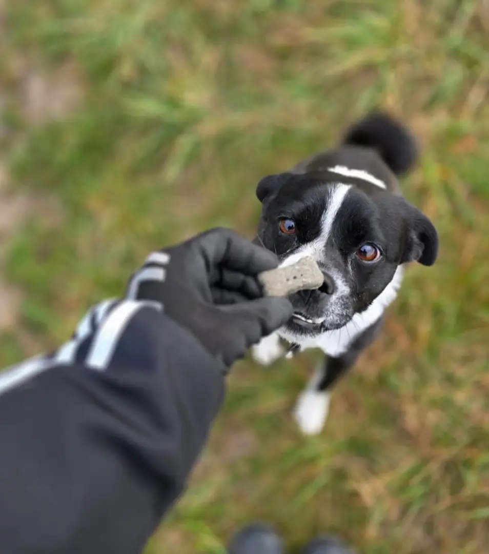 Sušienky čierne uhlie 100g