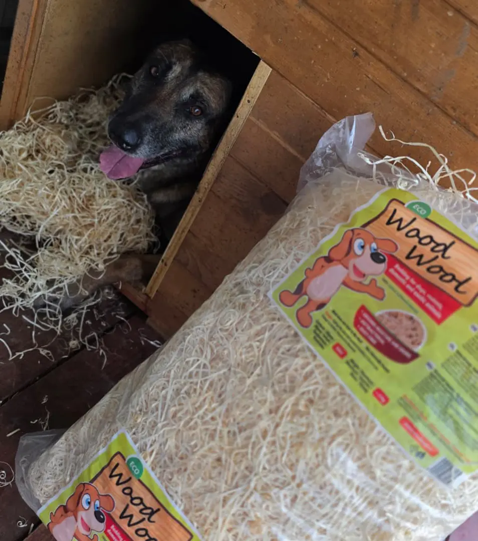 Drevitá vlna 5 Kg x 2 Ks AKCIA !!!