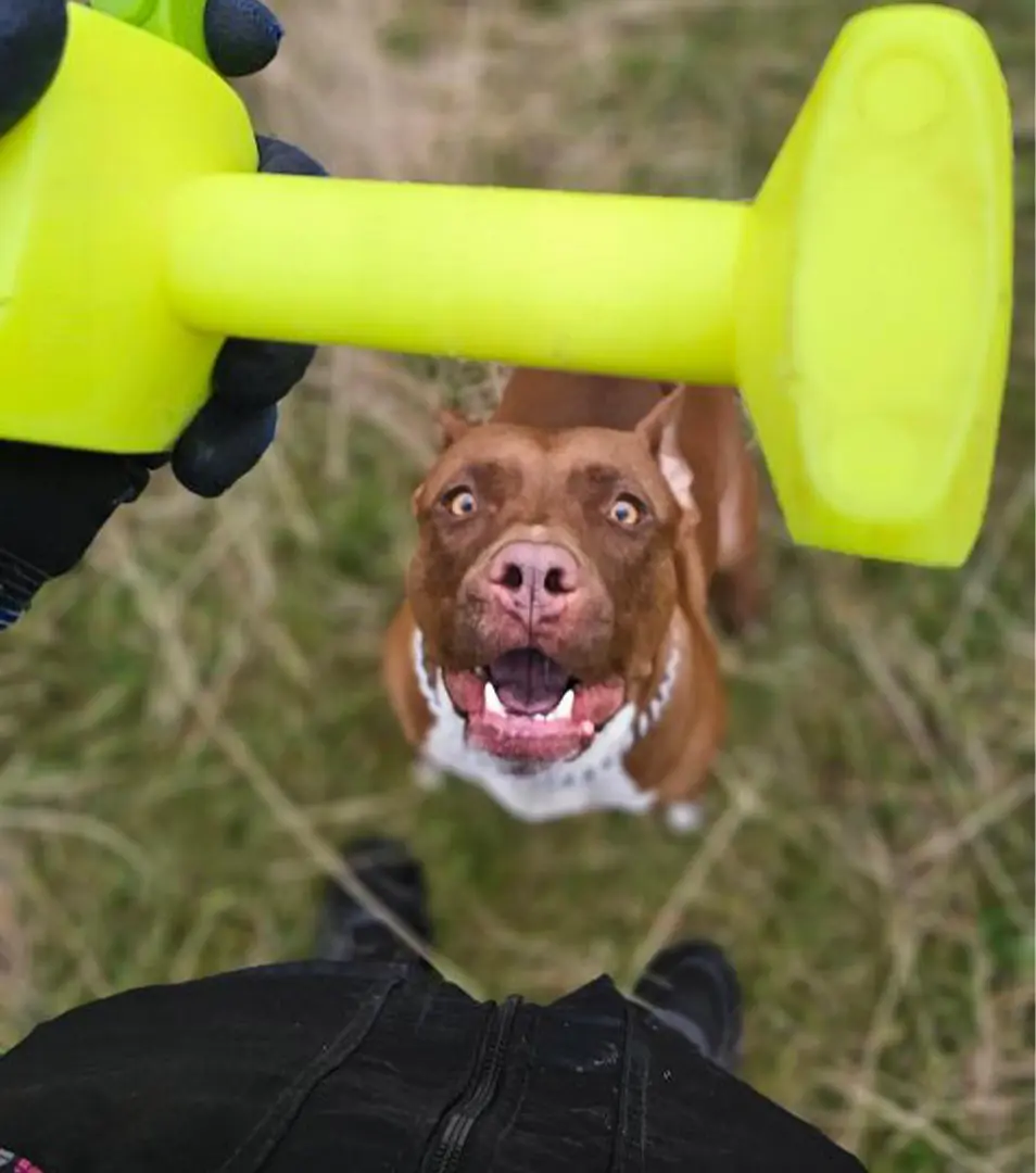 BAFPET Plastová činka, plávajúca Farba: Neónovo žltá, Rozmer: 90g/S | 09068