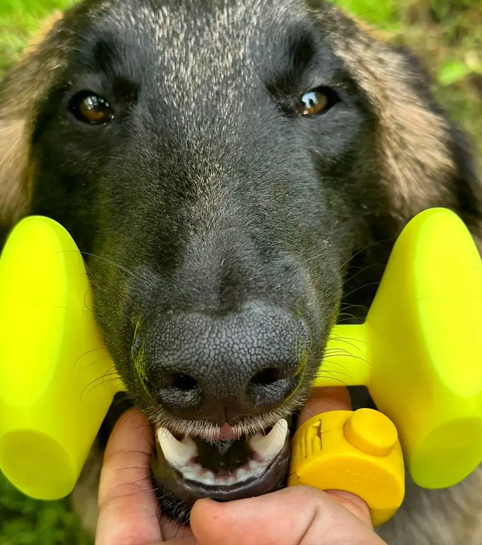 BAFPET Plastová činka, plávajúca Farba: Neónovo žltá, Rozmer: 200g/M | 09069