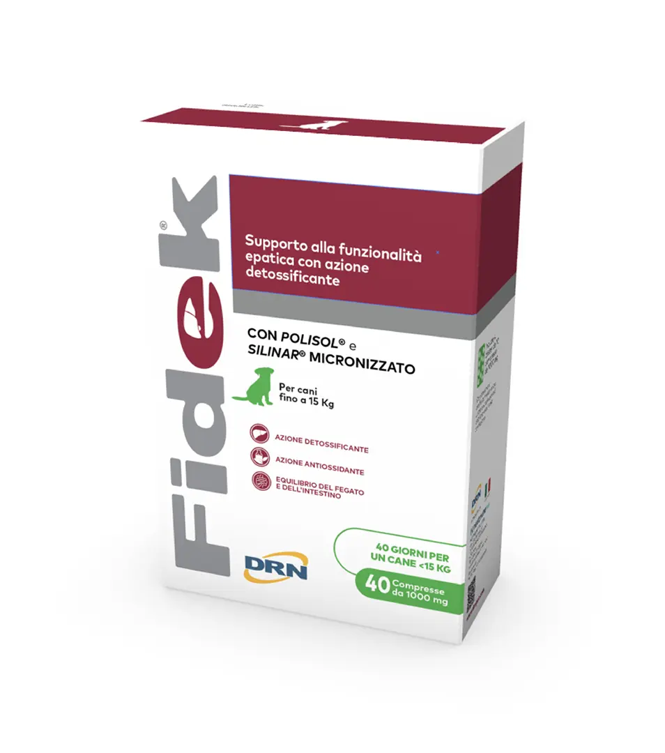 Fidek 1000 mg  40 tbl.