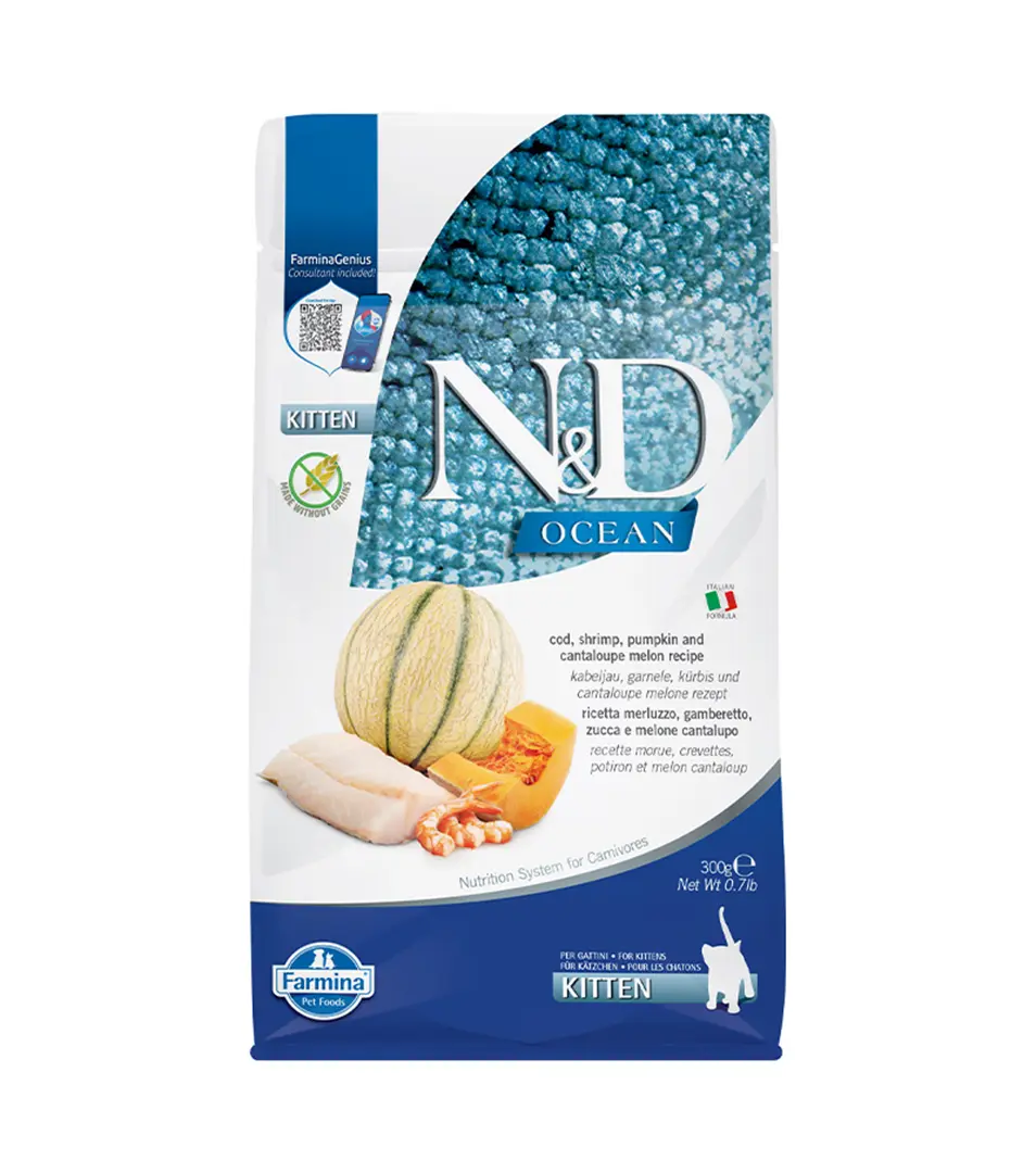 Farmina N&D cat OCEAN PUMPKIN (GF) kitten, cod, shrimp & cantaloupe melon 0,3 kg