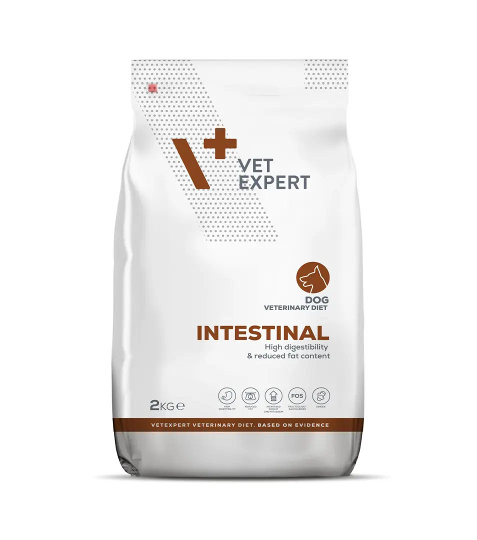 VetExpert VD dog 4T Intestinal 2 kg