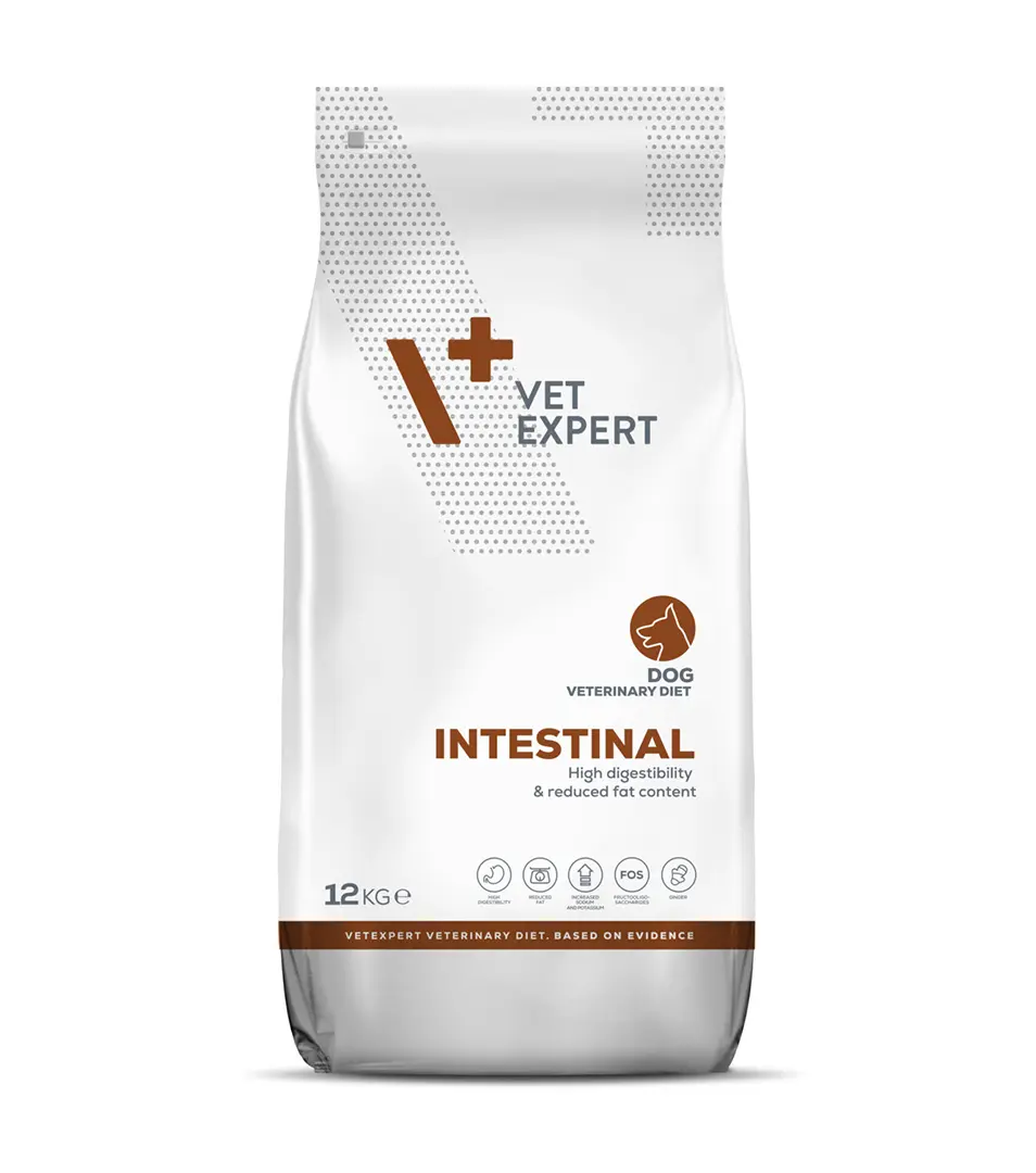 VetExpert VD dog 4T Intestinal 12 kg