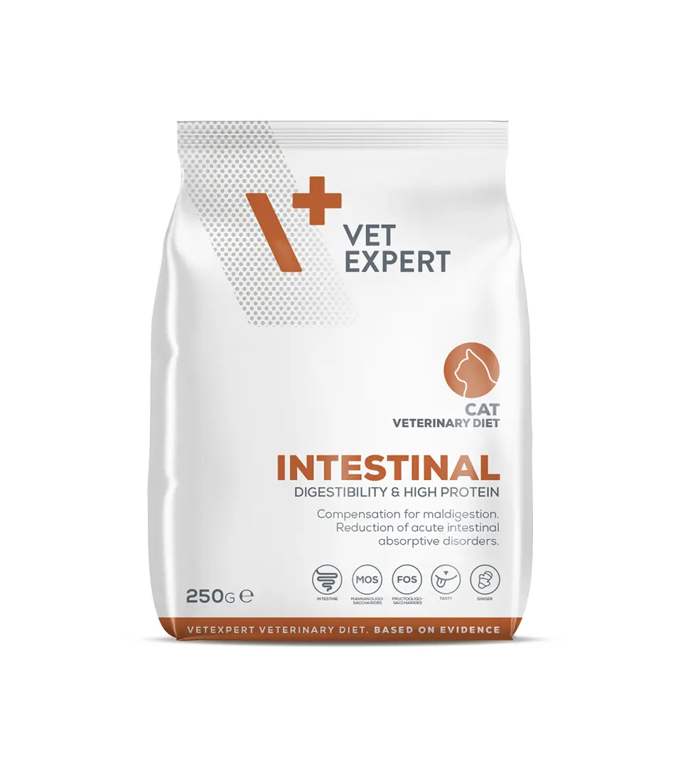 VetExpert VD cat 4T Intestinal 250 g
