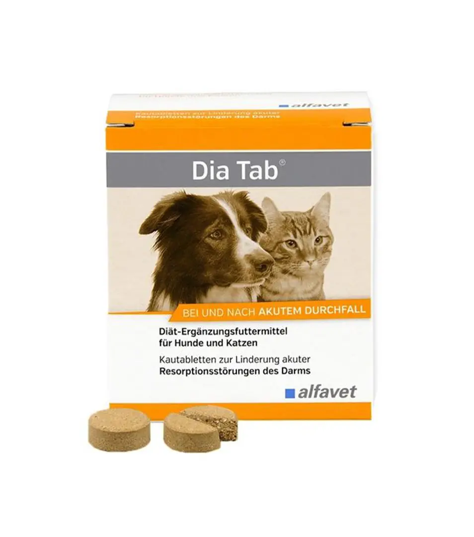 Dia Tab žuvacie tbl. 20 x 5,5 g