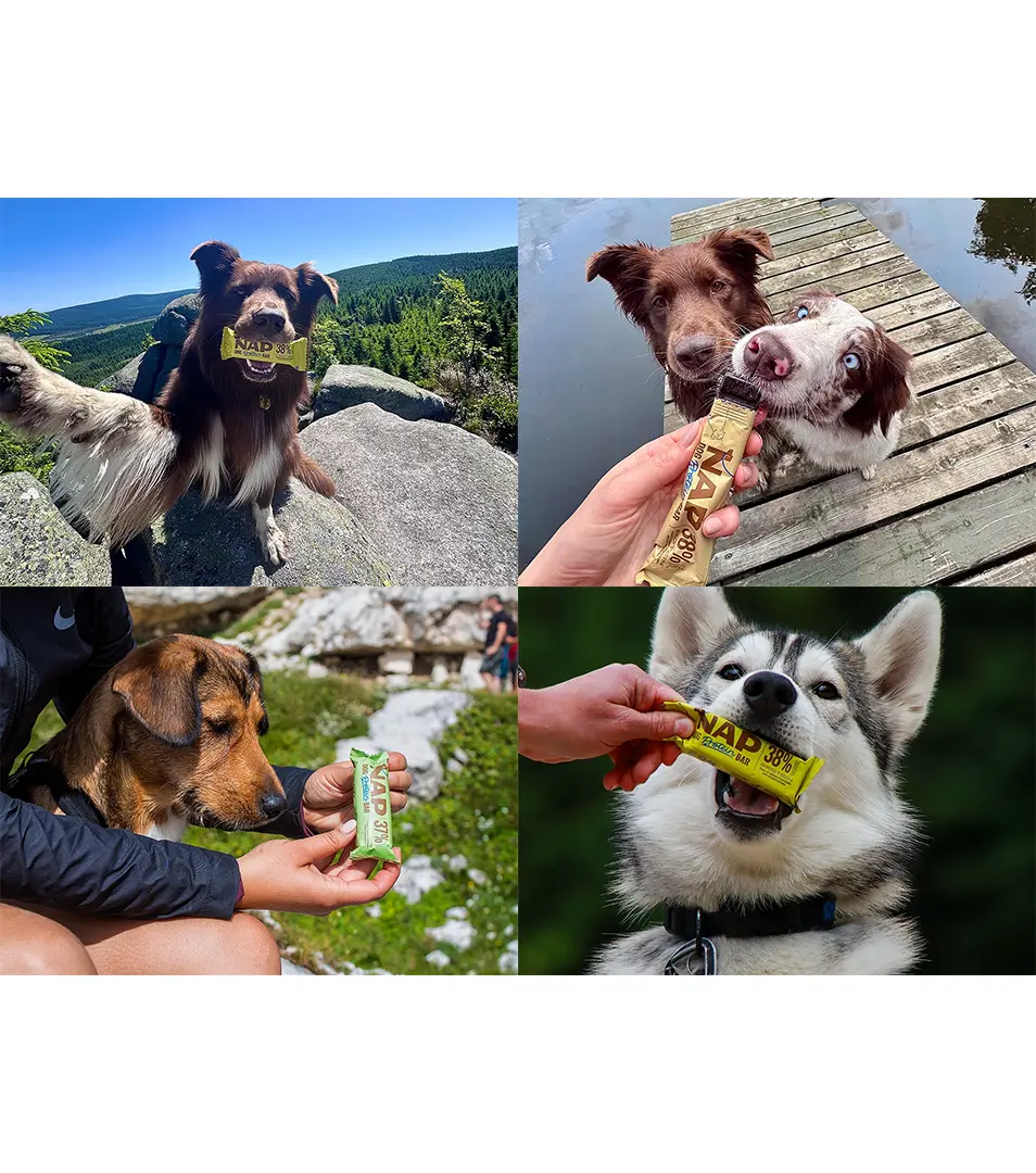 NAP Proteínová tyčinka pre psy kuracia 50g