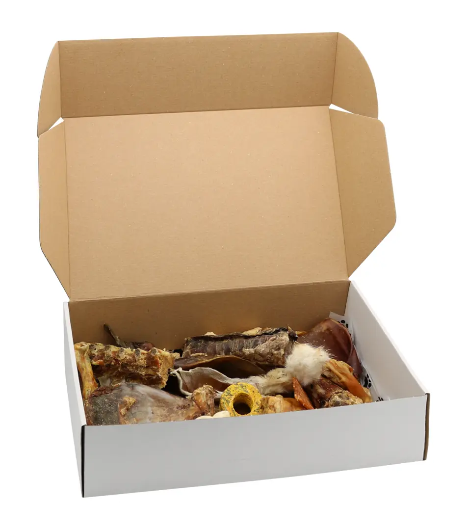 Ochutnávkový box sušených maškŕt - veľký pes