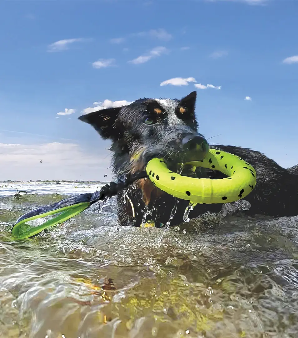 Hračka Kong Dog Reflex Tug krúžok na ťahanie a aport pena