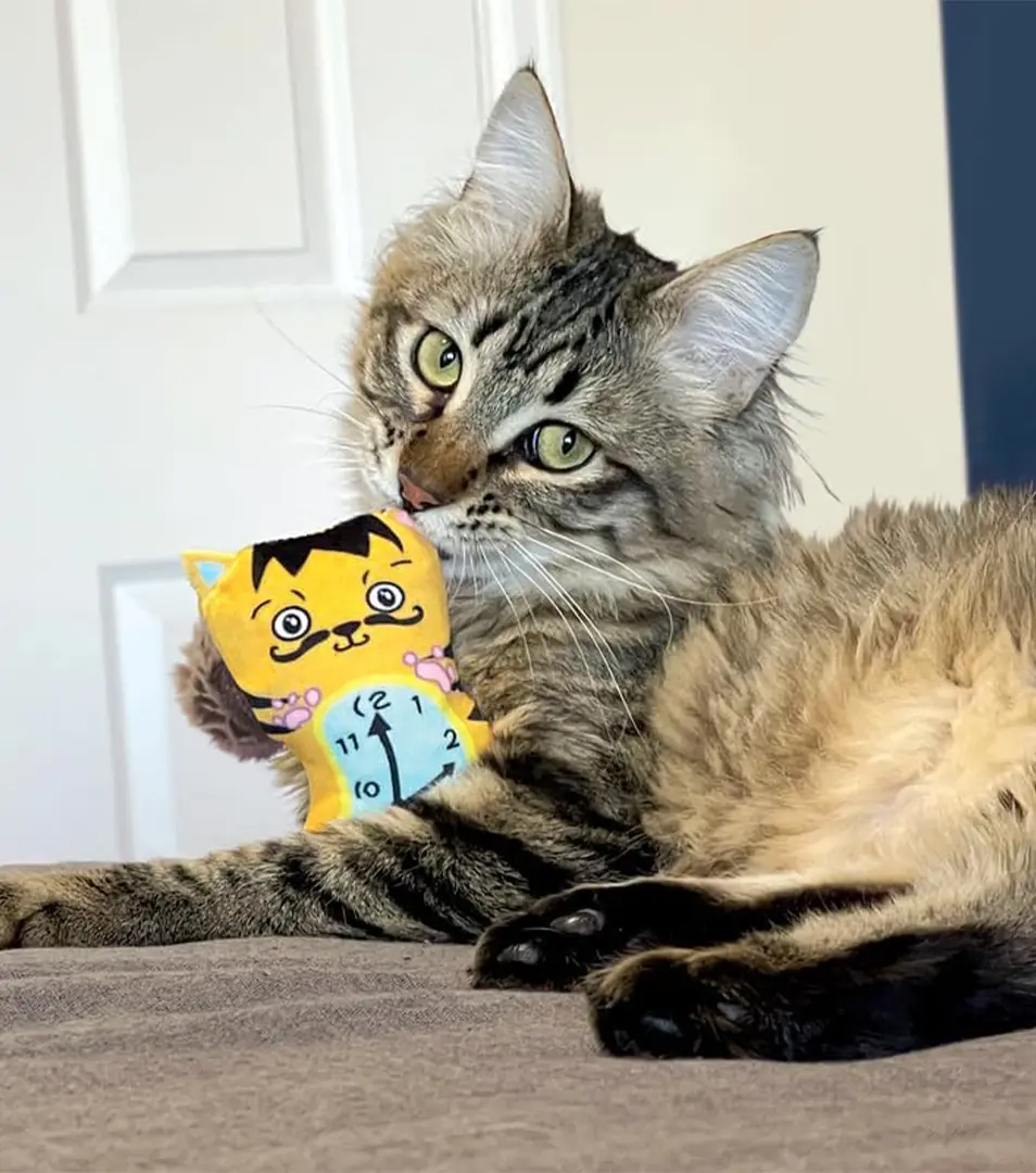 Hračka Kong Cat Artz Dali/van Gogh s kocúrnikom 2 ks polyester