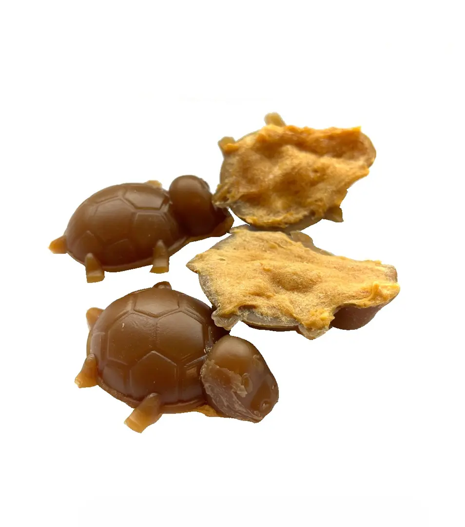 Dentálna korytnačka plnená mäsom 1 ks