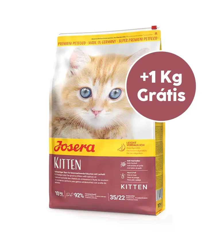 Josera Cat Kitten 10 kg + 1 kg