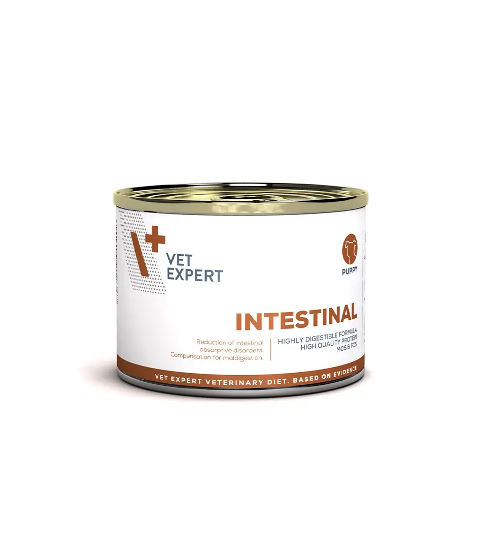 VetExpert VD puppy Intestinal konzerva 200 g