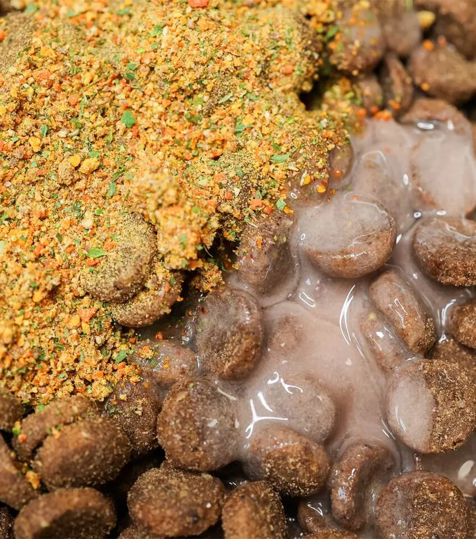 BOHEMIA WILD Sušená zelenina Powder 500 g