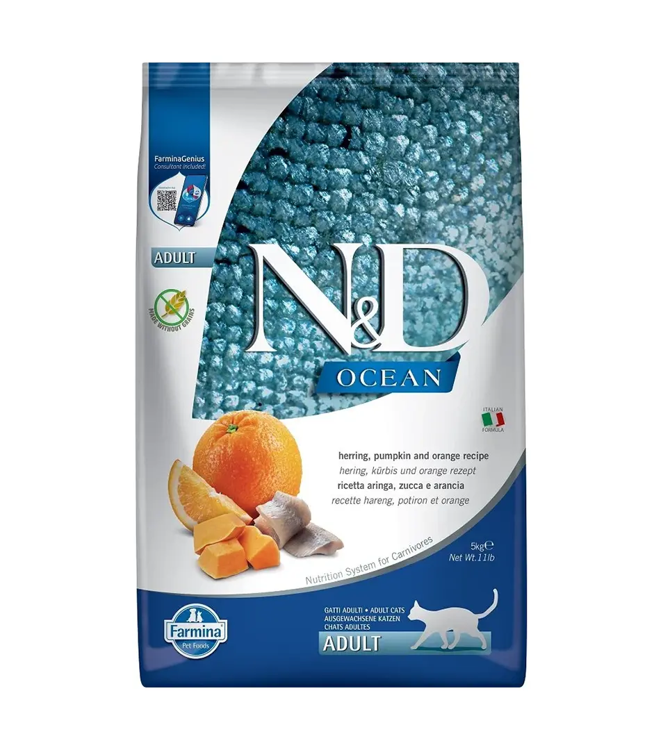 Farmina N&D cat OCEAN PUMPKIN (GF) adult, herring & orange 5 kg