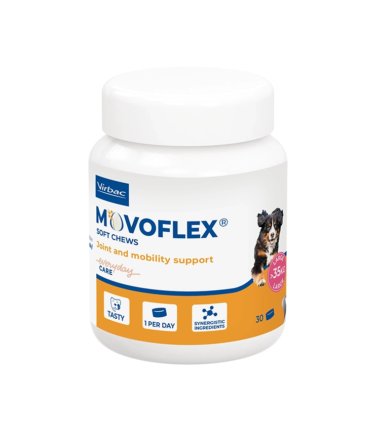 Movoflex Soft Chews L pre psy žuv.tbl. 30 tbl.