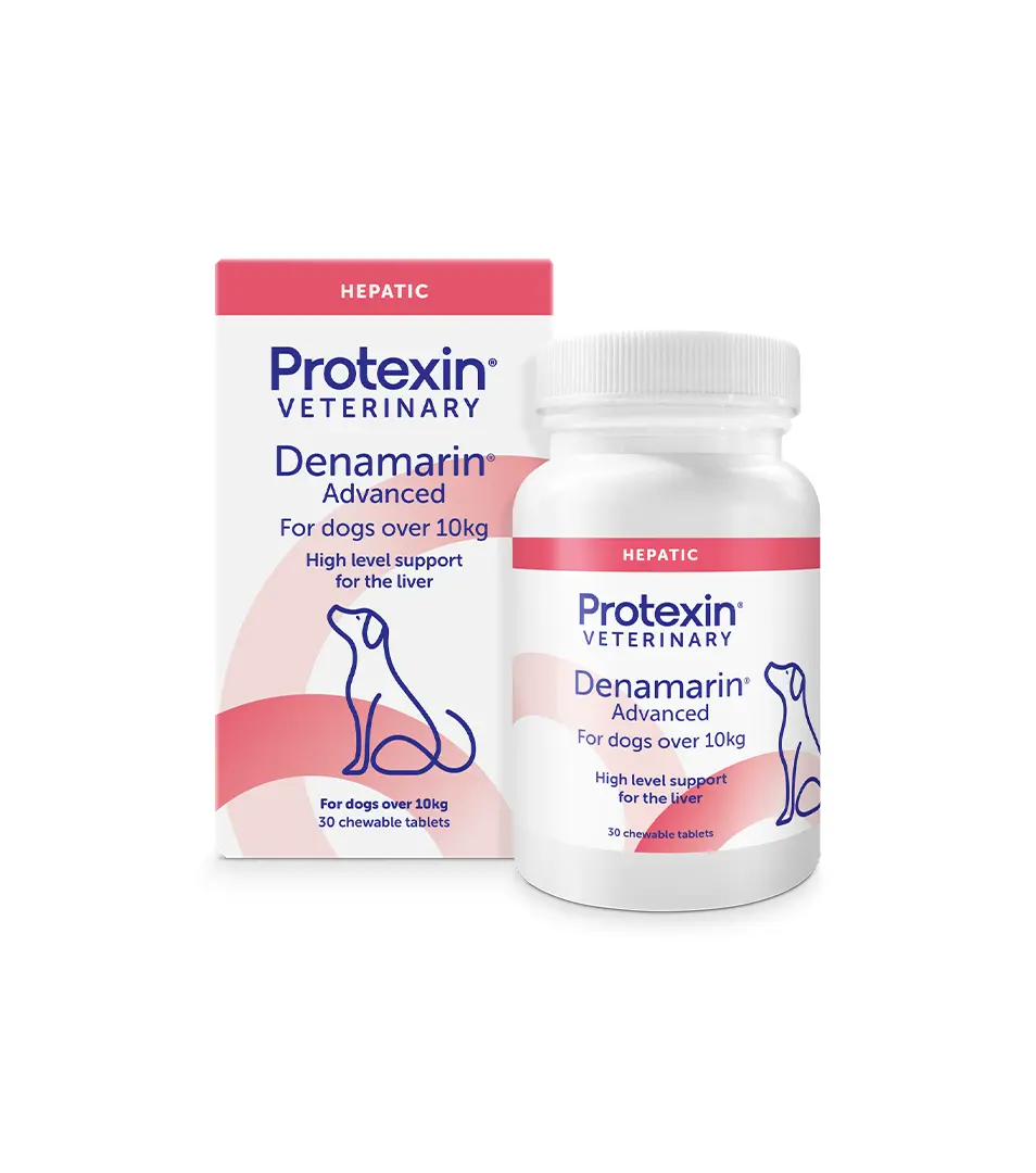 Protexin Denamarin dog od 15 kg 30 tbl.