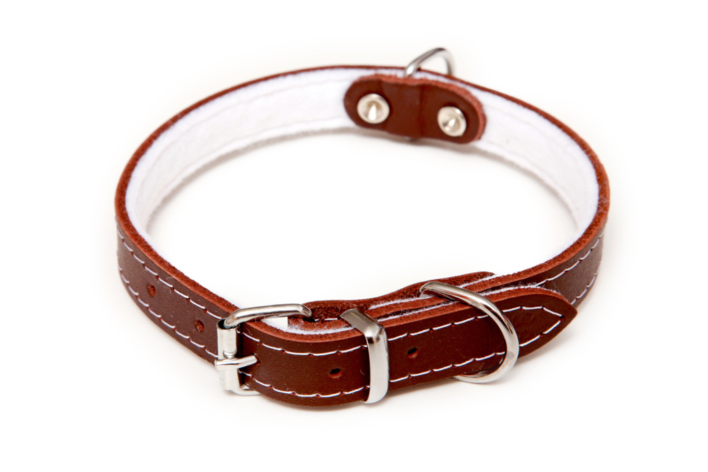 BAFPET Kožený obojek podšitý filcem, STELLA - hladká Barva: Přírodní, Rozměr: 16mm x 40cm /30-35/ 01107